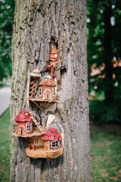 Holzhaus In Einem Alten Baum Entworfen Kostenlose Foto