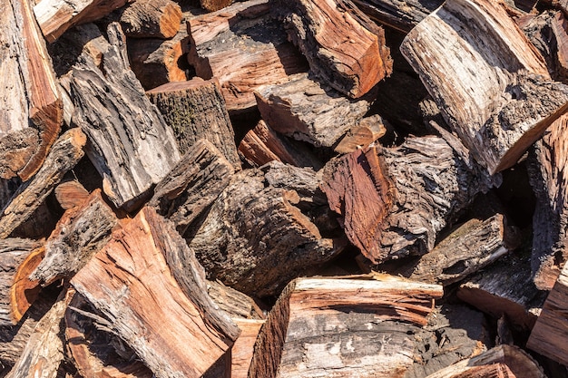 Holzspäne mit rinde im freien Kostenlose Foto