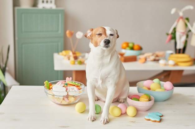 Hund sitzt auf einem tisch mit gemalten eiern und futter PremiumFoto