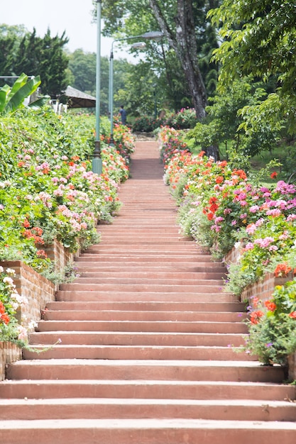 Im garten die treppe hochgehen PremiumFoto