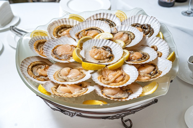 Jakobsmuscheln in der schale, mit chili gekocht. lecker. | Premium-Foto