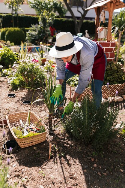 Junger männlicher gärtner, der die anlage im garten pflanzt
