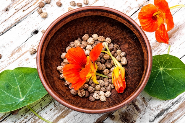 Kapuzinerkresse officinale mit samen PremiumFoto