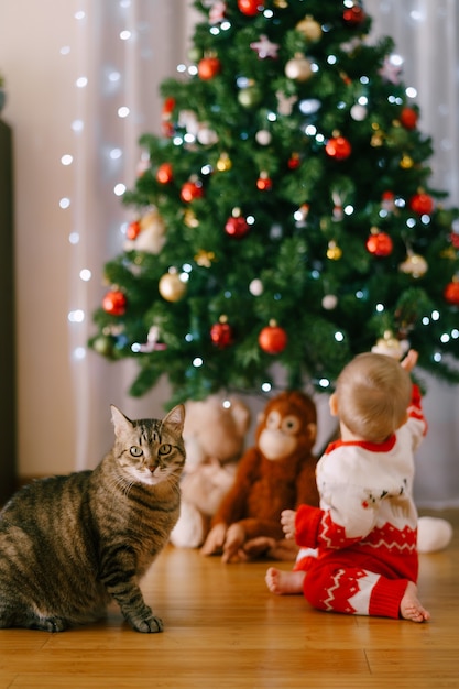 Katze Sitzt Vor Einem Weihnachtsbaum Wahrend Baby Nach Einer Weihnachtsverzierung Greift Hochwertiges Foto Premium Foto