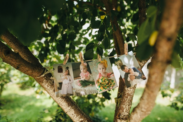 Kinderbilder Auf Einem Baum Kostenlose Foto