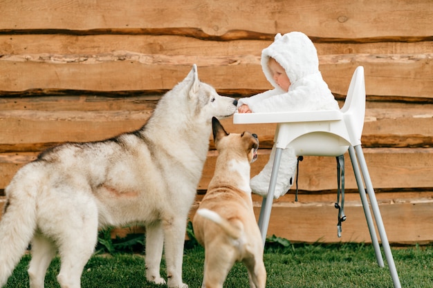 Premium Foto Kleines Baby Im Barenkostum Das Im Hochstuhl Draussen Mit Verspielten Hunden Sitzt Die Ihn Betrachten