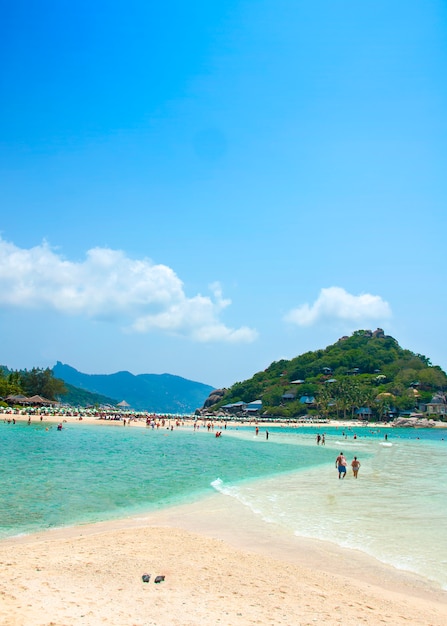 Koh nangyuan, surat thani, thailand. koh nangyuan ist einer der