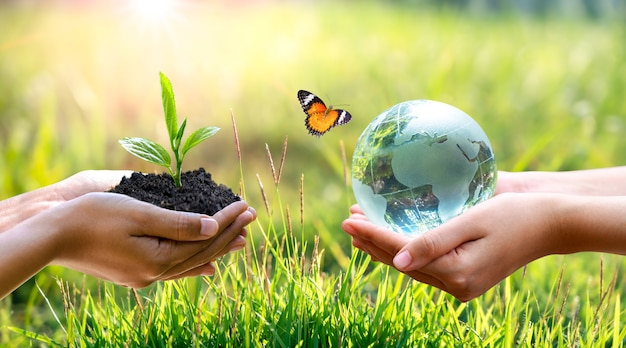 Konzept Rette Die Welt Rette Die Umwelt Die Welt Ist Im Gras Premium Foto