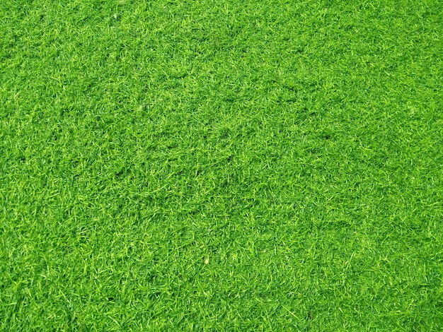 Kunstrasen textur hintergrund Premium Fotos