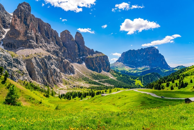 Landschaft Der Dolomiten Am Gardena Durchlauf Mit Dem Blumenfeld Und Dem Sassolungo Berg In Sudtirol Italien Premium Foto