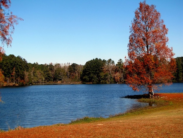 Landschaft Herbst Wasser Natur See Baume Kostenlose Foto