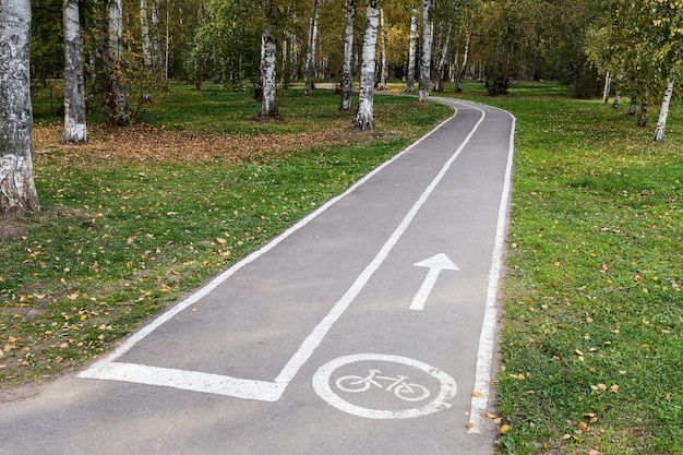 Leerer Asphaltierter Radweg Mit Symbol Und Pfeil In Einem Offentlichen Stadtpark Verwandelt Sich In Einen Wald Premium Foto