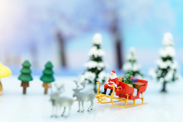 Miniaturmenschen: weihnachtsmann sitzend rentierschlitten mit gruß oder postkarte und weihnachtsbaum. Premium Fotos