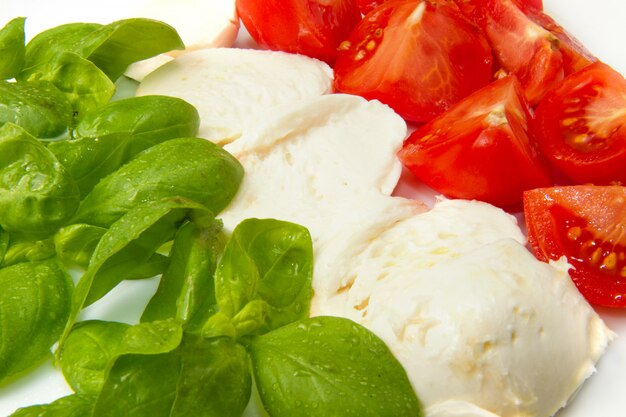 Mozzarella mit tomaten und basilikum | Premium-Foto