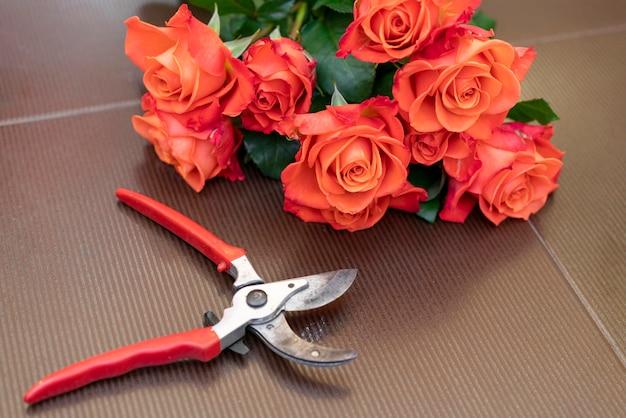 Nahaufnahme Gartenschere Mit Eleganten Roten Rosen Kostenlose Foto