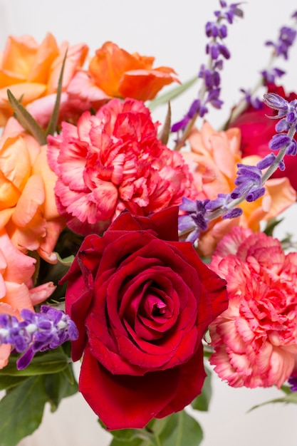 Nahaufnahmezusammenstellung von netten rosen Kostenlose Fotos