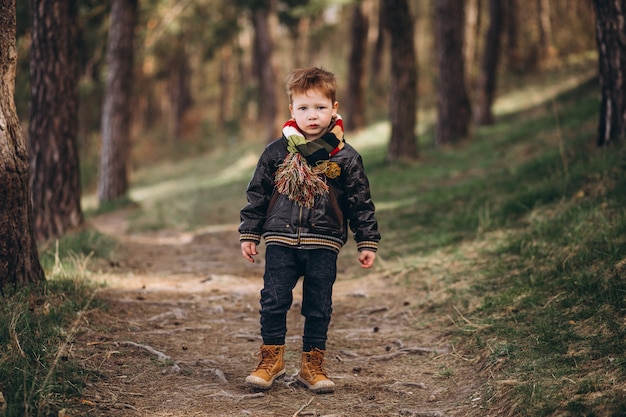 Netter Kleiner Junge Im Wald Allein Kostenlose Foto