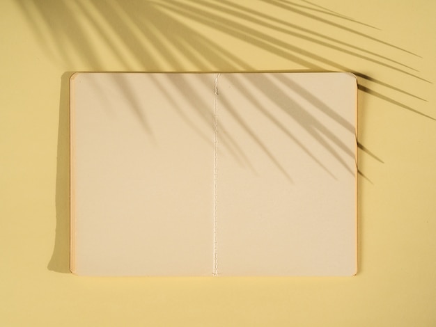 Palmenschatten auf einem papierblatt Kostenlose Fotos