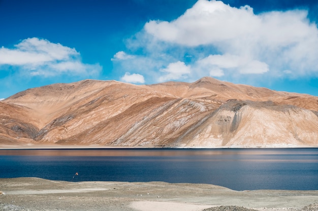 Pangong See Und Berg In Leh Ladakh Indien Kostenlose Foto