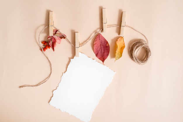 Papier für ihre notizen. zerrissenes papier trend.autumn blätter in einer wäscheleine von wäscheklammern gehalten. holunderbeere und berberitze, früchte und trockene blätter. herbstkarte, flache lage, draufsicht. copyspace. Premium Fotos