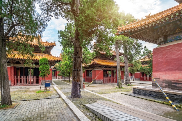 Qufu Konfuzius Tempel Und Friedhof In China Unesco Weltkulturerbe Premium Foto