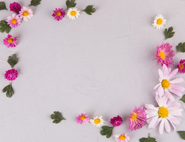 Rahmen Aus Blumen Und Blättern Auf Leuchttisch | Kostenlose Foto