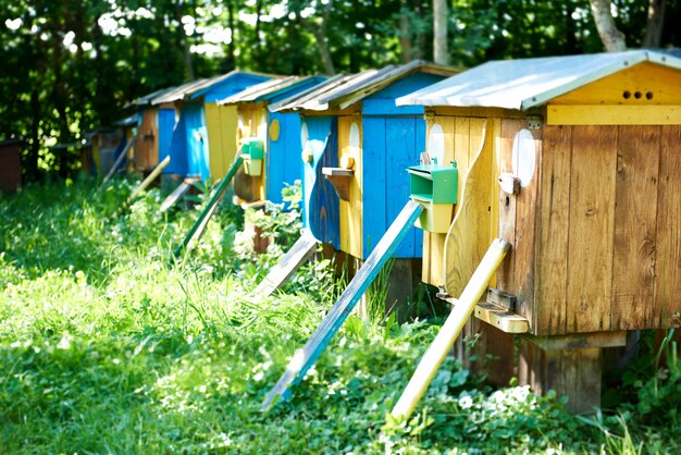 Reihe von bienenstöcken in einem bienenhaus im freien im garten natur