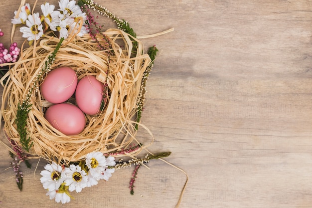 Rosa eier im nest Kostenlose Foto