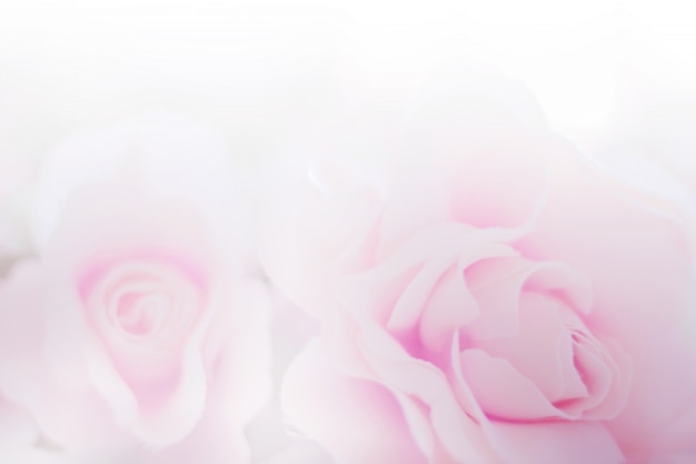 Rose Blumen Stoff Aus Papier Textur Fur Den Hintergrund Premium Foto