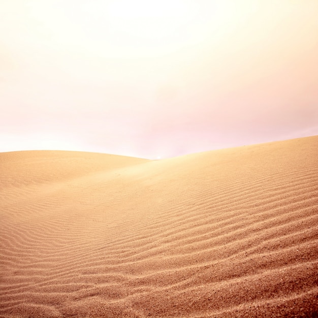 Sanddunen Und Himmel Auf Der Wuste Kostenlose Foto