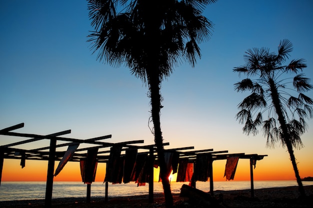 Schattenbilder Von Palmen Durch Das Meer Auf Einem Sonnenuntergang Strand Premium Foto