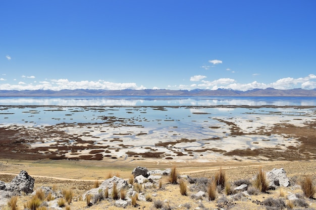 Schöne aussicht auf den junin see in den anden | Premium-Foto