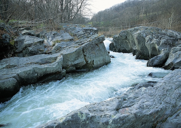 Schone Aussicht Auf Den Wasserstrom Im Wald Umgeben Von Baumen Mit Kahlen Asten Kostenlose Foto