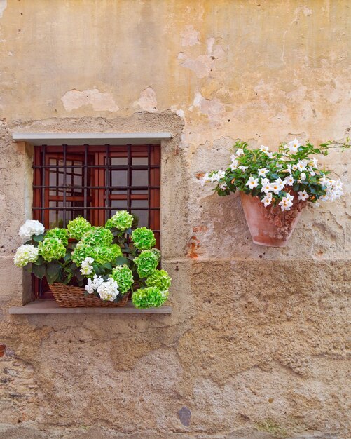 Schone Bluhende Grune Und Weisse Blumenhande Auf Dem Fenster Eines Hauses In Einem Alten Gebaude In Italien Vertikales Format Mit Copyspace Schonheitswand Des Hauses Premium Foto