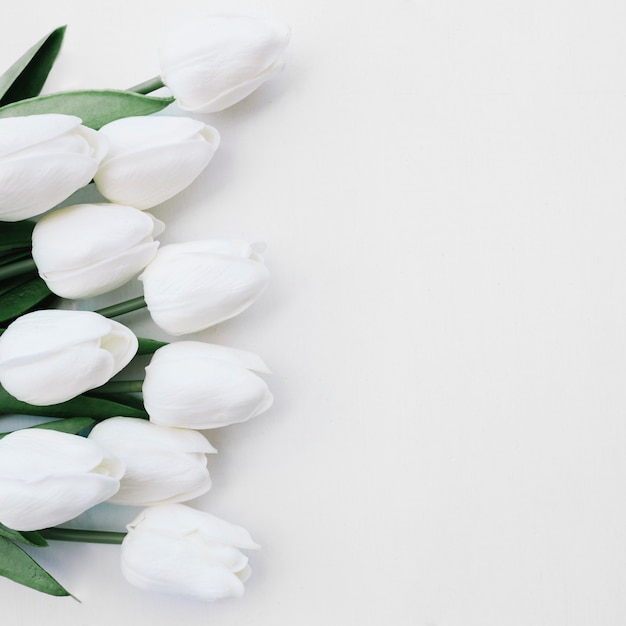 Schöne blumen auf weißem hintergrund mit platz auf der rechten seite