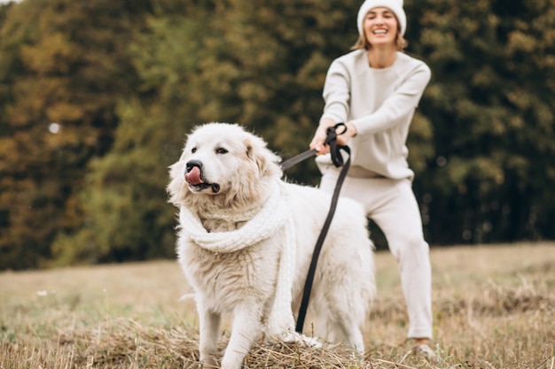 Schöne frau, die heraus ihren hund auf einem gebiet geht Kostenlose Fotos