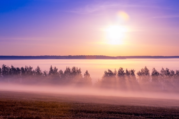 Schone Landschaft Bei Sonnenaufgang Im Sommer Premium Foto