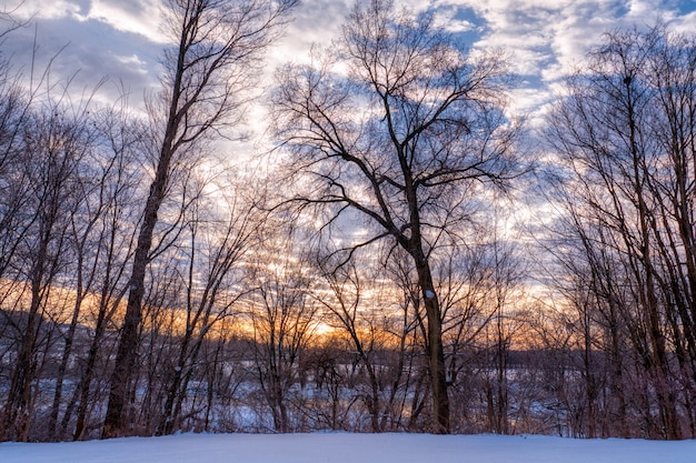 Schone Landschaft Der Landlichen Hugel Wahrend Der Winterzeit Kostenlose Foto