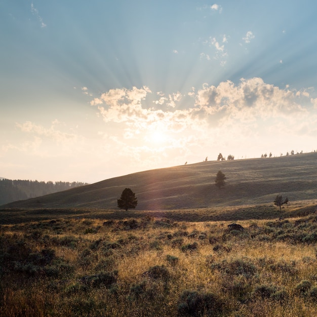 Schone Landschaft Einer Landschaft In Yellowstone Mit Bergen Und Dem Sonnenaufgang Kostenlose Foto