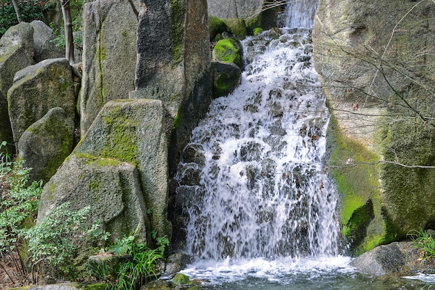 Schone Naturliche Wasserfall Kostenlose Foto