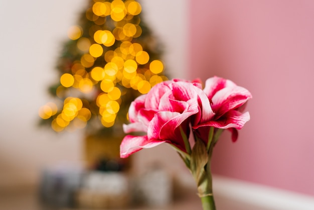 Schöne rosa blume auf weihnachtslichthintergrund. speicherplatz