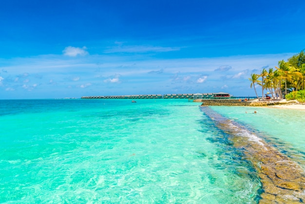 Schone Tropische Malediven Insel Mit Weissen Sandstrand Und Meer Kostenlose Foto