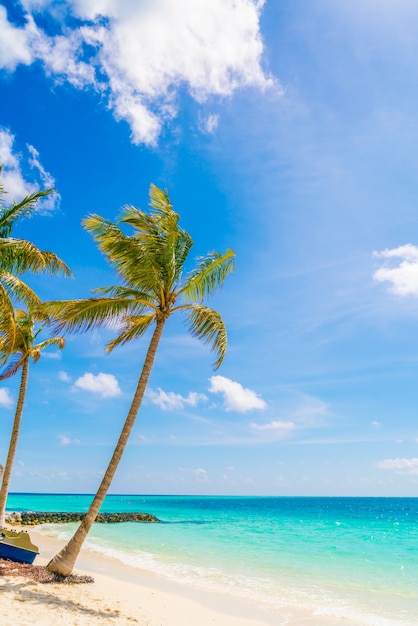 Schone Tropische Malediven Insel Weisser Sandstrand Und Meer Mit Palmenbaum Um Kostenlose Foto