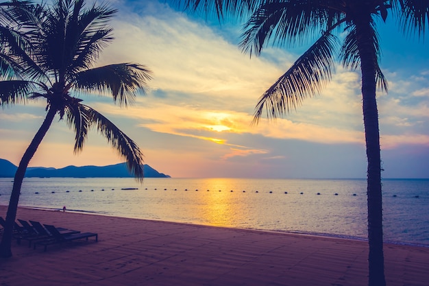 Schoner Strand Und Meer Mit Palme Kostenlose Foto