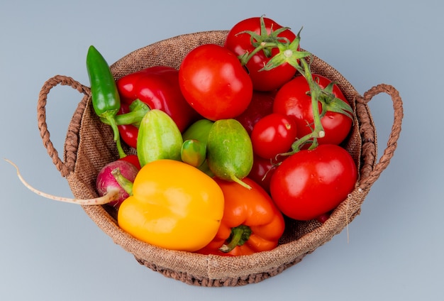Seitenansicht Von Gemuse Als Pfeffer Tomaten Rettichgurke Auf Blauem Hintergrund Kostenlose Foto