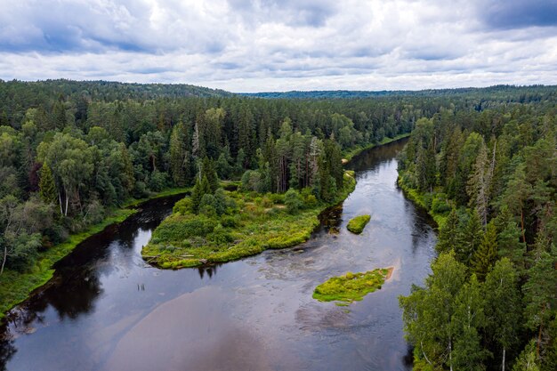 Sommerlandschaft Von Oben Mit Dem Fluss Gauja Der Sich Durch Gemischte Baumwalder Windet Gauja Nationalpark Lettland Premium Foto