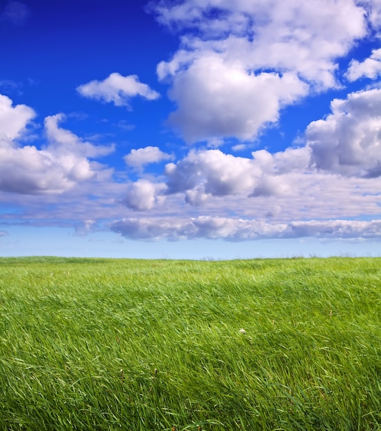 Sommerlandschaft Kostenlose Foto