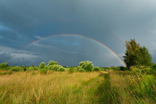 Bilder Doppelter Regenbogen Gratis Vektoren Fotos Und Psds