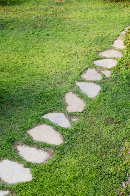 Steinweg im garten unter grünem rasen. gras wächst