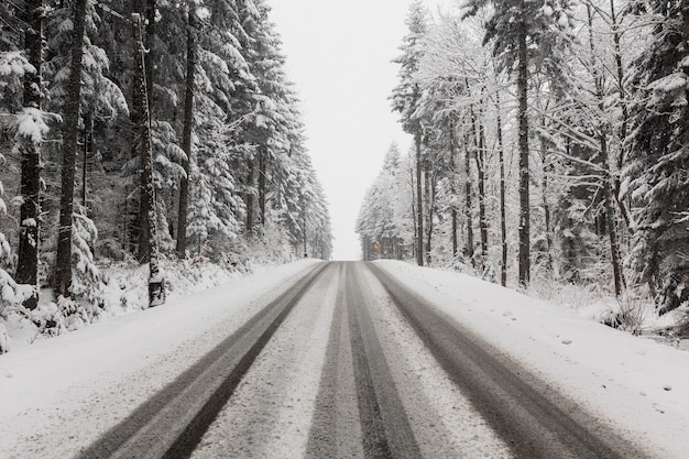 Strasse Durch Winterwald Kostenlose Foto